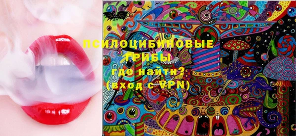 молекула духа Касимов